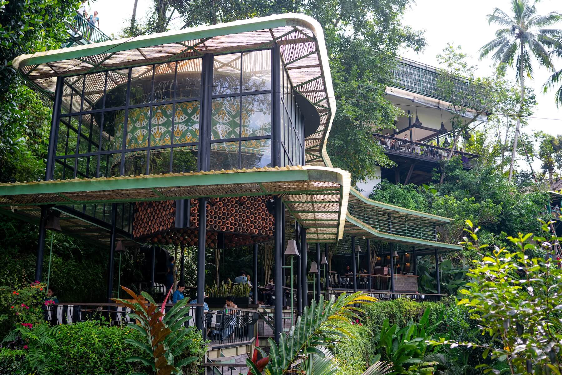 image cretya jungle lite